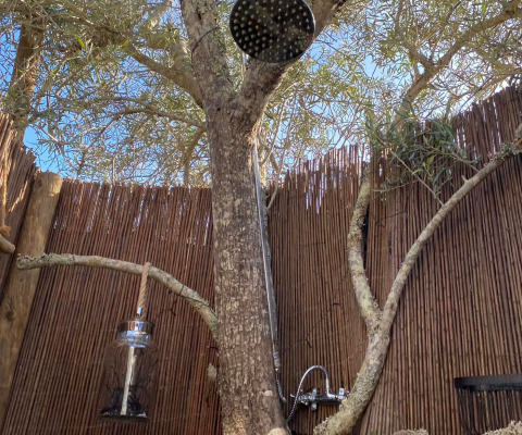 Douche extérieure parmi les oliviers au glamping Algarve Olive Tree Lodge, ambiance nature et détente.