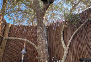 Udendørs bruser ved et glamping-sted med oliventræ og træhegn på Algarve Olive Tree Lodge.