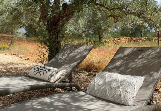 Deux chaises longues avec coussins sous des oliviers à Algarve Olive Tree Lodge - Hippe schoolbus - Glamping Algarve.