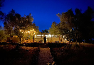 Verlichte glamping bij Algarve Olive Tree Lodge met een hippie schoolbus onder de nachtelijke hemel.