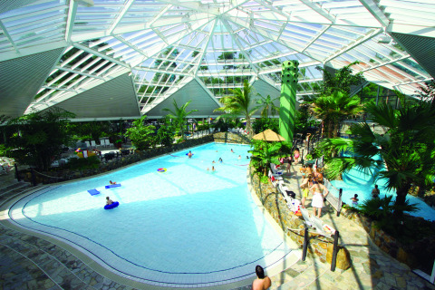 Piscina coperta con palme e tetto in vetro al Camping Südsee-Camp - Luxe chalets Nedersaksen, atmosfera tropicale.