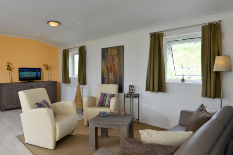 Lichte, gezellige woonkamer in Camping en Vakantiepark Brilon - Chalets Noordrijn-Westfalen met moderne meubels.