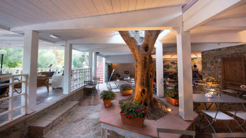 Überdachte Terrasse mit Baum im Zentrum beim Vallicella Glamping Resort - Cottages Toscane, stilvolles Camping.