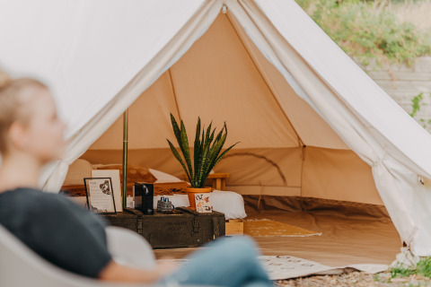 Glamping accommodation with a cozy bell tent in Friesland, featuring a comfy bed and potted plant inside.