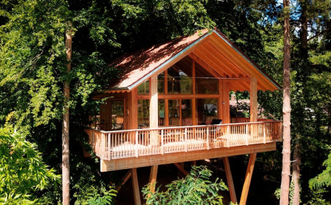 Luksuriøs glamping oplevelse i Sankt Martin boomhut, Boomhutten Rijnland-Palts, midt i skoven.