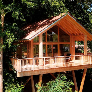 Luksuriøs glamping oplevelse i Sankt Martin boomhut, Boomhutten Rijnland-Palts, midt i skoven.