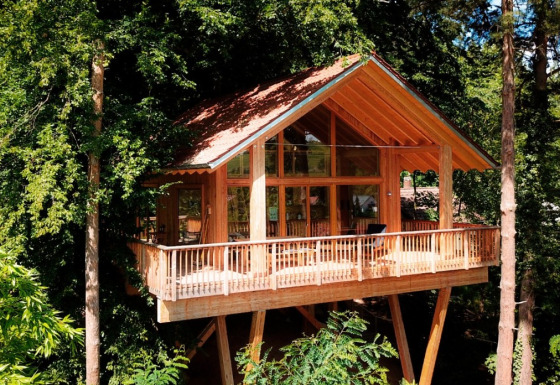 Alloggio glamping Sankt Martin boomhut, Boomhutten Rijnland-Palts, casetta tra gli alberi nella foresta.