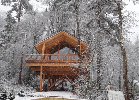 Glampingindkvartering kaldet 'Sankt Martin boomhut - Boomhutten Rijnland-Palts' midt i et snedækket vinterlandskab.