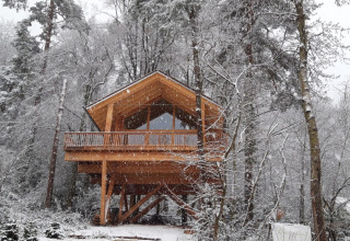 Glampingaccommodatie 'Sankt Martin boomhut - Boomhutten Rijnland-Palts' in een besneeuwd winterbos, boomhut.
