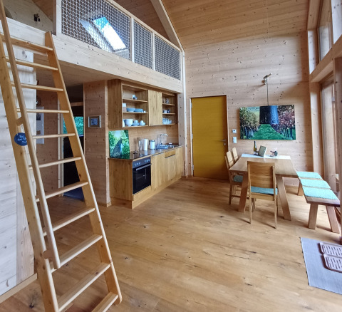 Innenaufnahme der Sankt Martin Boomhut, eine Glamping-Unterkunft mit Holzeinrichtung und Küche.