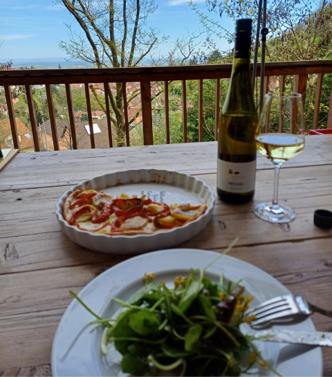 Udsigt fra terrasse med salat, tærte og hvidvin på bordet, omringet af træer i Sankt Martin boomhut.