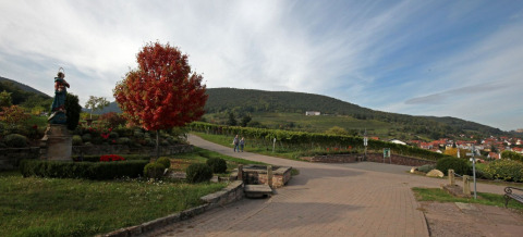 Udsigt over grønne bakker og landsby nær Sankt Martin boomhut campingplads i Rheinland-Pfalz, Tyskland.