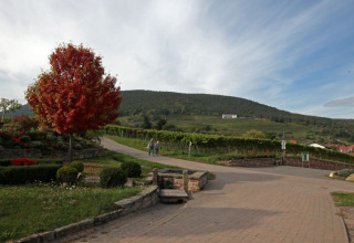 Vista de colinas verdes y una aldea cerca del glamping Sankt Martin boomhut en Renania-Palatinado.