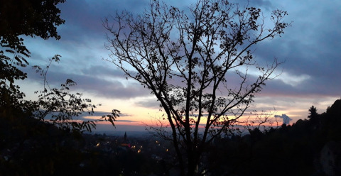 Vue sur la cabane Sankt Martin - Boomhutten Rhénanie-Palatinat avec un superbe coucher de soleil en nature.