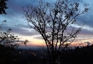 View of Sankt Martin treehouse - Boomhutten Rhineland-Palatinate with a beautiful sunset and nature.
