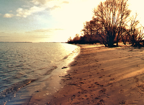 Coucher de soleil sur la plage près de Camping Am Leuchtturm - Stacaravans Nedersaksen, paysage paisible.
