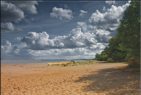 Plage de sable et verdure sous un ciel nuageux près du camping Am Leuchtturm en Basse-Saxe.