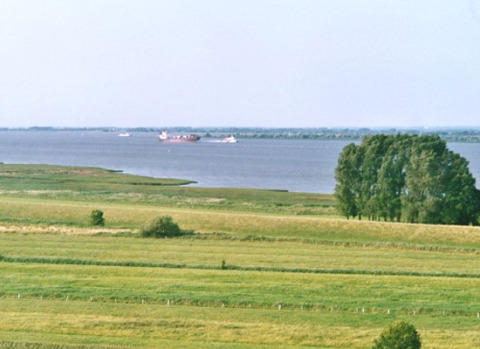 Vista di campi verdi, alberi e un lago vicino a Camping 'Am Leuchtturm' - Stacaravans Nedersaksen.