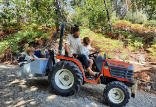 En mand og børn på en lille traktor i et skovområde, glampingoplevelse hos Land of Deveza - Glamping Portugal.