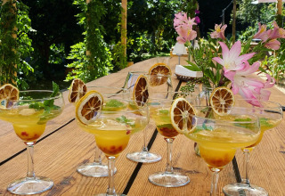 Verfrissende cocktails met gedroogde citroenschijfjes op houten tafel bij Land of Deveza - Glamping Portugal.