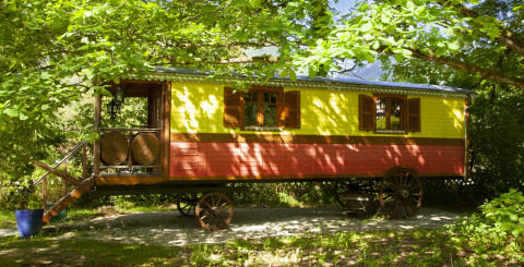 Carro de madera colorido bajo árboles verdes, alojamiento glamping en Park am See, Obertraun, Austria, ambiente veraniego.