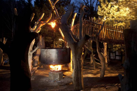 Treehouse glamping in Saxony at night, large kettle over campfire, wooden bridge, artistic trees lit up.