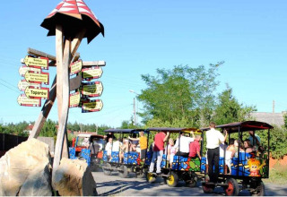 Gezinnen maken een vrolijke treinrit bij Het Culturele Eiland Einsiedler - Boomhutten in Saksen, bij een wegwijzer.