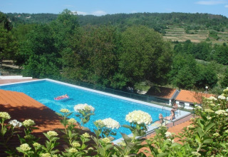 Vista de la piscina en Glamping Chave Grande - Safaritenten, rodeada de colinas verdes y flores en flor.
