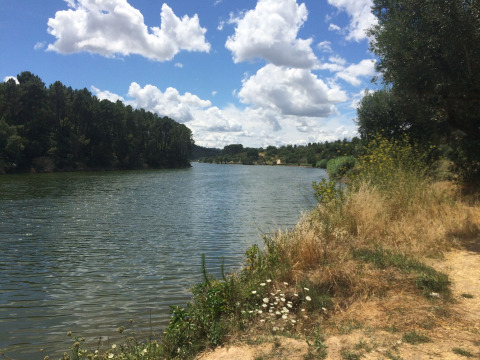 Blick auf den Fluss bei Glamping Chave Grande - Safaritenten, umgeben von Bäumen und Sommerskyline.