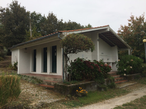 View of Glamping Chave Grande - Safaritenten, a camping accommodation surrounded by trees and nature.