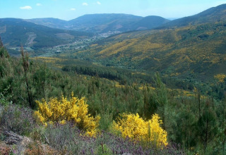 Heuvelachtig landschap met bloemen nabij Glamping Chave Grande - Safaritenten in Portugal.