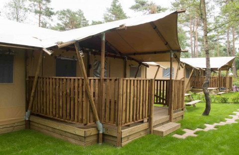 Glamping-Unterkunft im Campingpark Heidewald, Deutschland, mit Holzveranden und üppigem Grün umgeben.