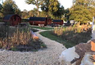 Hébergements glamping avec tonneaux et lodges au Campingpark Heidewald, Allemagne, sous le soleil.