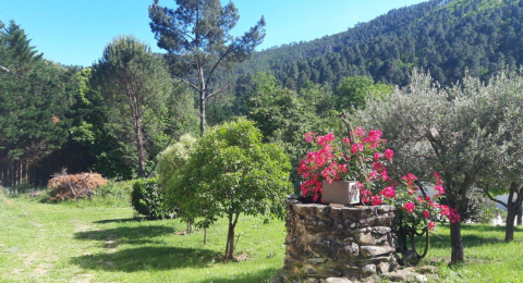 Jardin verdoyant avec fleurs colorées et arbres au Camping Les Drouilhedes - Tent Lodges Occitanië.