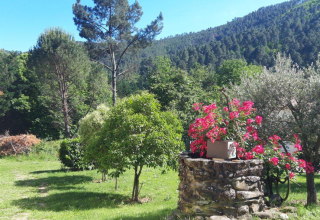 Lush garden with vibrant flowers and trees at Camping Les Drouilhedes - Tent Lodges Occitanië.