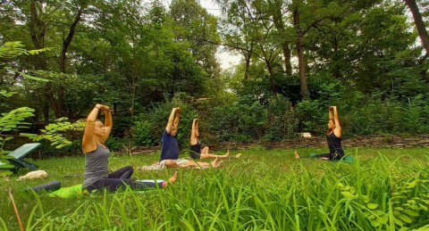 Sesión de yoga al aire libre en Camping Les Drouilhedes - Tent Lodges Occitanië, inmersa entre árboles y naturaleza.