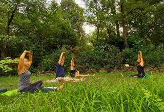 Gruppe bei einer Yogastunde im Freien auf Camping Les Drouilhedes - Tent Lodges Occitanië, umgeben von Wald.