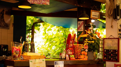 Cozy reception or bar area at Camping Les Drouilhedes, featuring snacks, plants, and leafy outdoor views.
