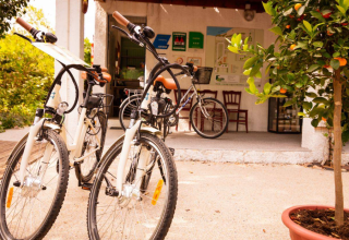 Two bicycles and a potted orange tree at the entrance of Camping Les Drouilhedes Tent Lodges in Occitania, France.
