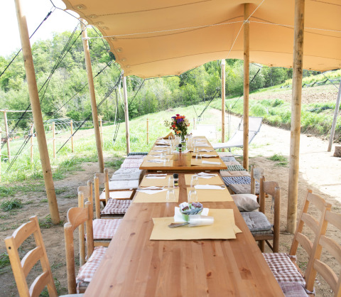 Buiten eetgedeelte met houten tafels onder een tent bij Azienda Agricola Il Granello Glampingtent Italië.