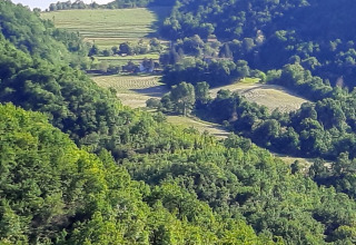 Vista de colinas verdes y campos en terrazas cerca del glamping Azienda Agricola Il Granello en Italia.