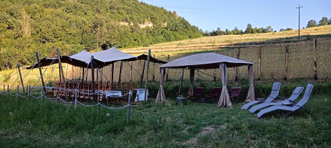 Glampinglocatie met tenten, houten stoelen en ligbedden op het gras bij Il Granello in Italië.