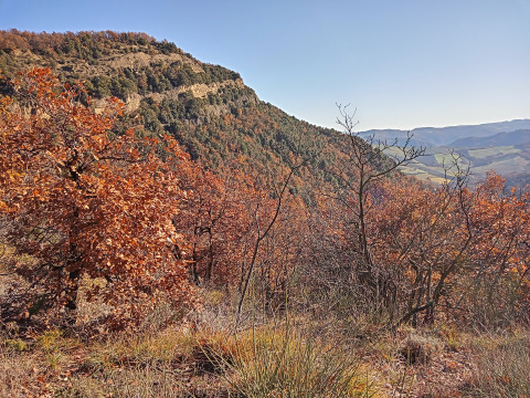 Herfstzicht bij Azienda Agricola Il Granello - Glampingtent Italië, heuvels en kleurrijke bomen.