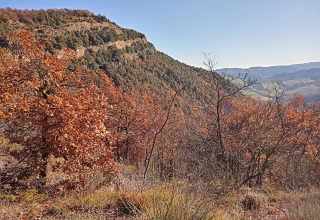 Herbstliche Berglandschaft bei Azienda Agricola Il Granello - Glampingtent Italië mit bunten Bäumen.