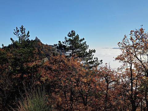 Vue sur montagnes et forêt avec brume sous ciel bleu près d’Azienda Agricola Il Granello Glampingtent Italie.