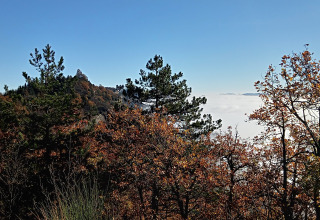 View of mountains, forest, and mist under a blue sky near Azienda Agricola Il Granello Glampingtent Italy.