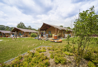 Glamping auf Recreatiepark TerSpegelt - LoungeLodge Glamping Noord-Brabant mit Familien und Luxuszelten.