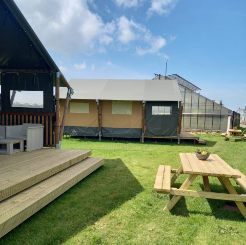 Glamping Heemskerkerduin safari tent accommodation in North Holland with deck, picnic bench and greenhouse.
