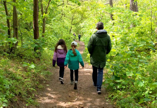 Familie spaziert auf einem Waldweg in der Nähe von Glamping Heemskerkerduin, Safaritenten, Noord-Holland.