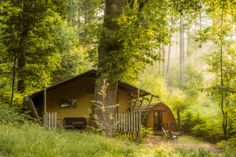Glamping-Unterkunft im Wald bei Buitenplaats Beekhuizen - Glamping Veluwe, umgeben von Natur.
